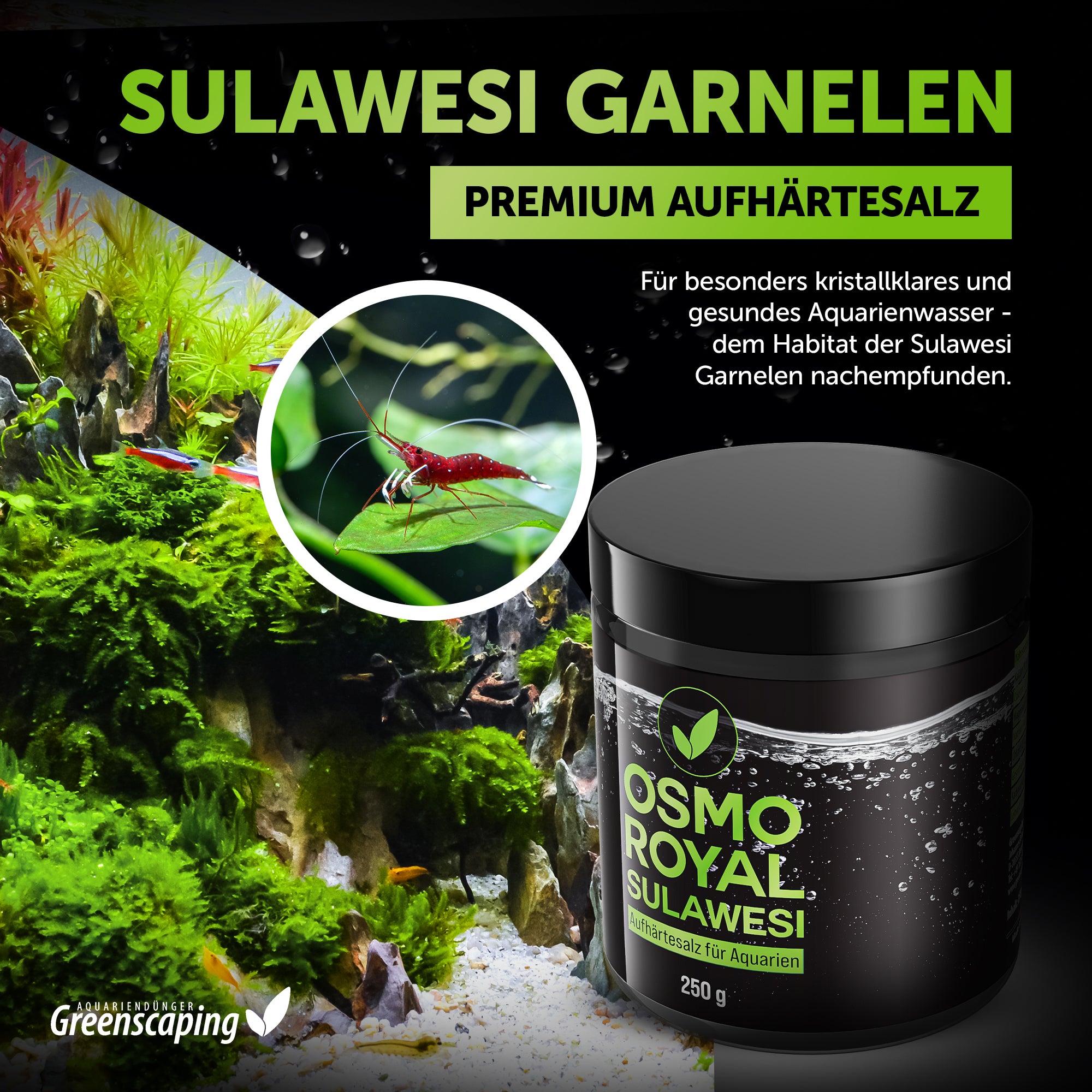 Osmo Royal Sulawesi – Für Sulawesi-Garnelen
