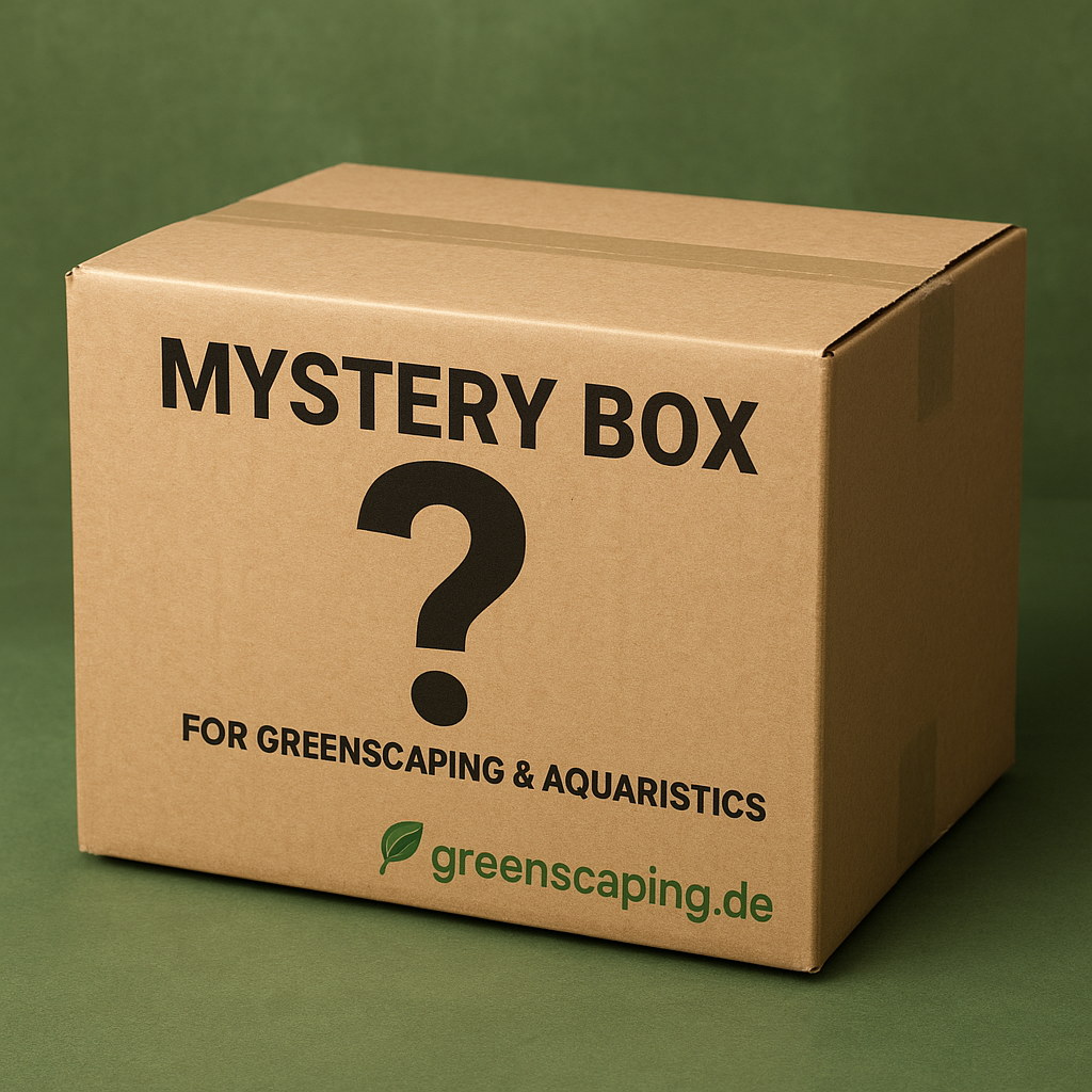 Mystery Box klein