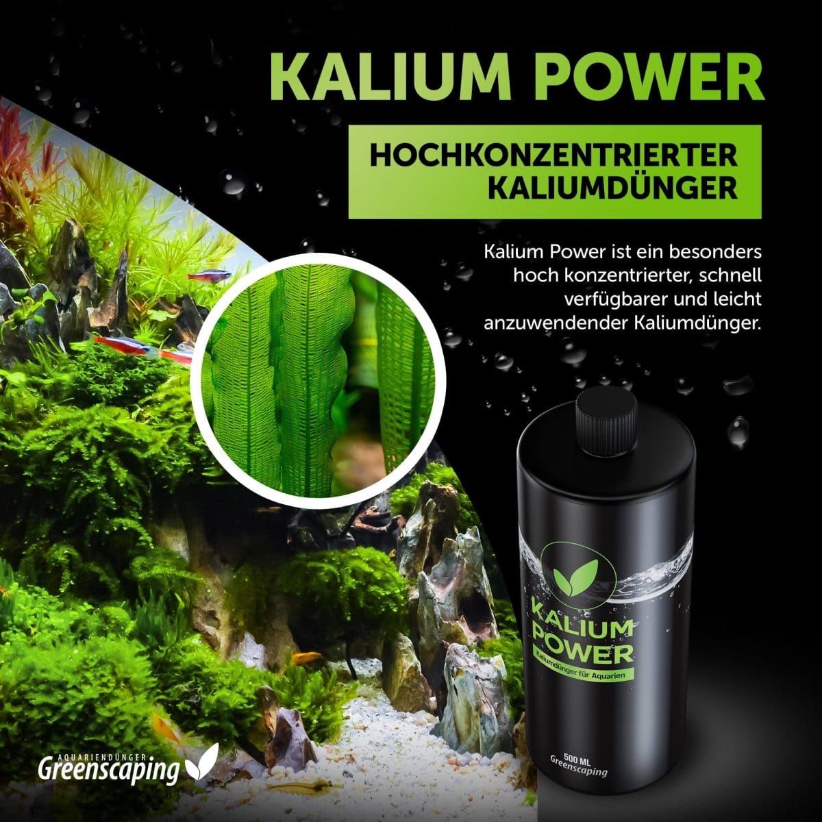 Kalium Power AquaLifeScape