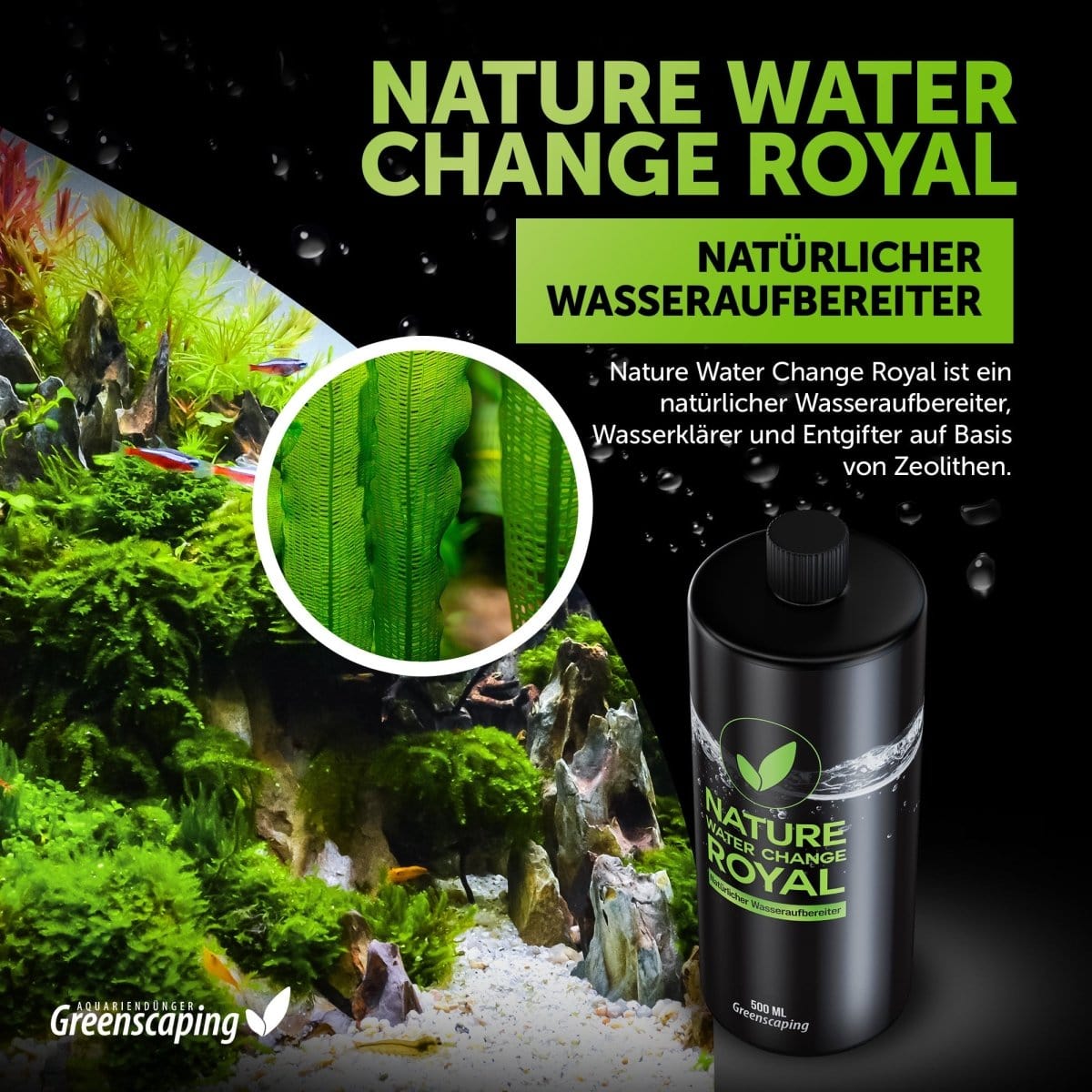 Nature Water Change Royal AquaLifeScape