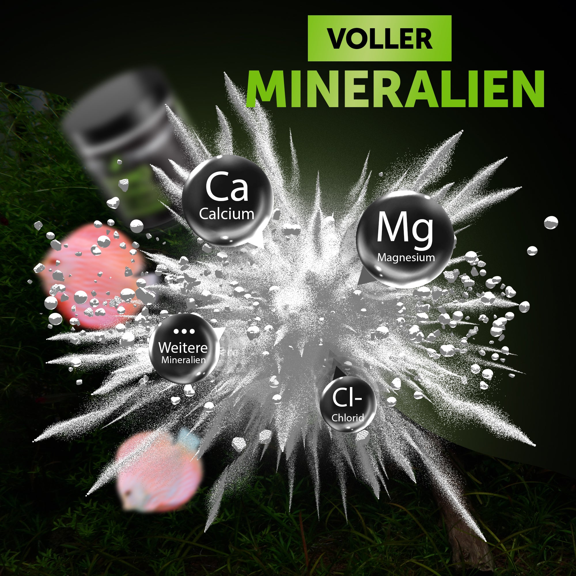 Osmo Royal GH+ Basic – GH gezielt erhöhen